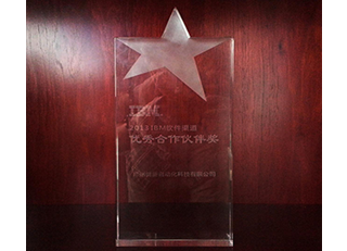 2013IBM优秀合作伙伴奖杯